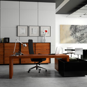 ERYS - Image 3