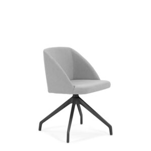 POLLY - Image 5