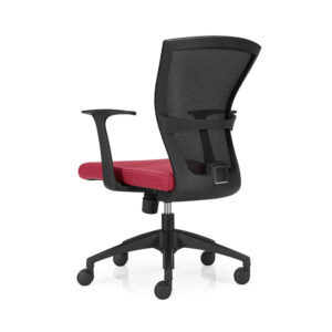 SPOT - Image 3